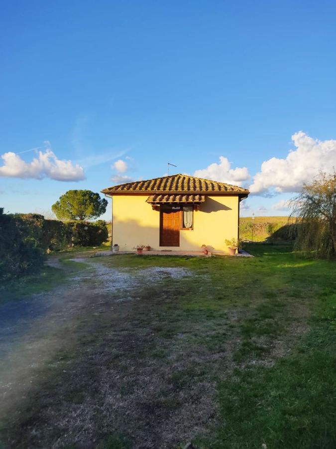 Azienda Agricola Baldini Ferdinando Apartment Monteaperti  Exterior photo