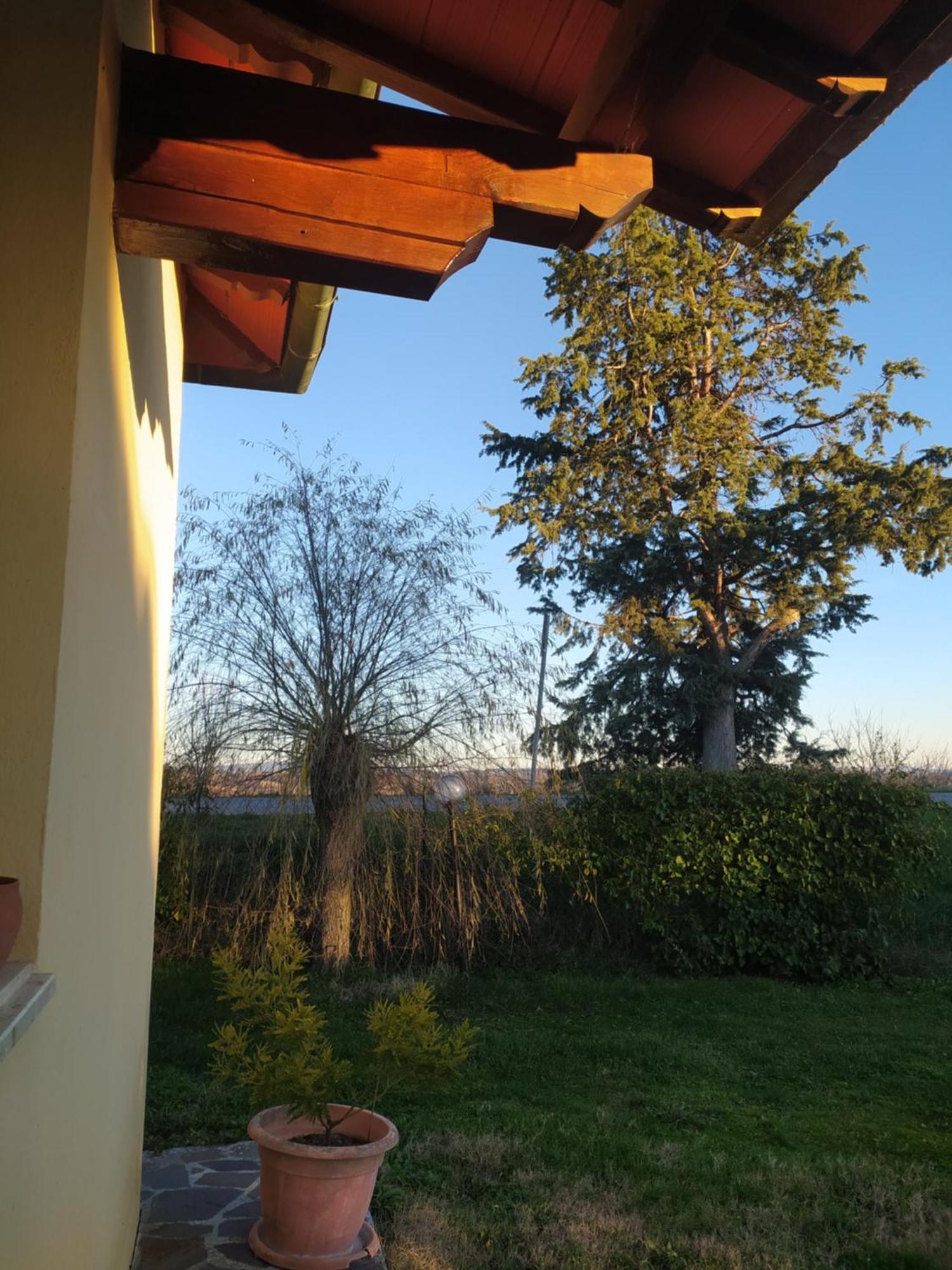 Azienda Agricola Baldini Ferdinando Apartment Monteaperti  Exterior photo